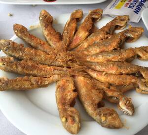 ayabakan balikcisi pisirme evi balgat ankara zomato